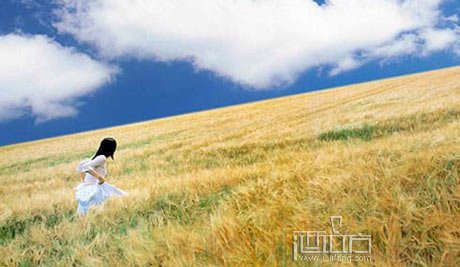 普羅旺斯葡萄酒