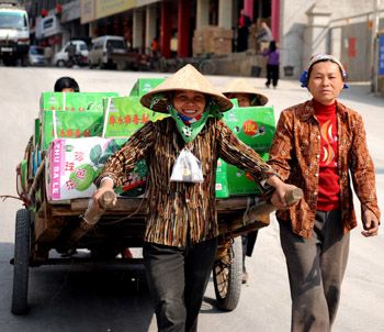 自由貿易催逼國內水果業調整轉型