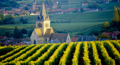 彼得-梅爾筆下的田園普羅旺斯