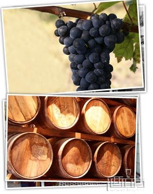 葡萄酒