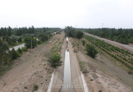 輸水干渠是葡萄園的血脈