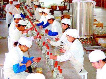 中國白酒國內開花國外不香國際主流市場難尋蹤跡