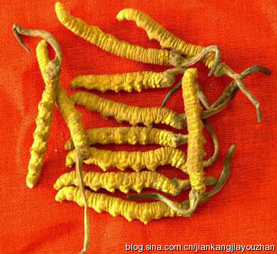 理性進補10個注意