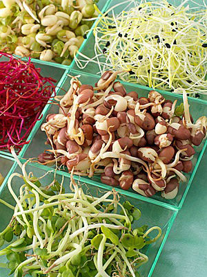 必須馬上處理的十大危險食物