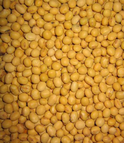 全方位美白防曬的6類美食(組圖)