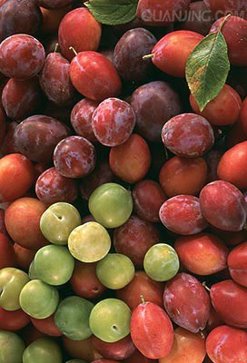 妙用5種食物 改善粗糙肌膚