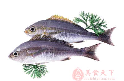 魚禽畜不能吃的部位