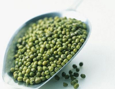 OL族青睞9大防輻射食品