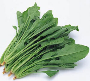 服藥后這些食物禁食