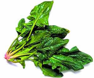 食物防病功效新發(fā)現(xiàn)