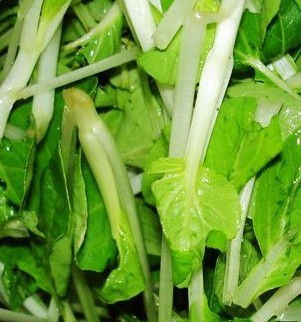 蔬菜健康減肥食譜 還你一副好身材