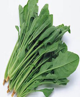 女人護膚養生 多吃10大美食