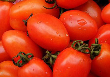 西紅柿減肥食譜美味又瘦身