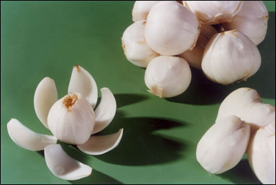 10大寶貝滋陰補血又保腎 