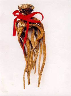 10大寶貝滋陰補血又保腎 