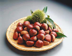 開口栗子好吃也要謹慎