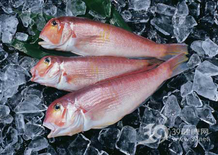 維生素會與啥食物矛盾