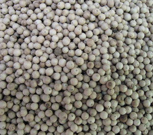 日常助健康的六種食物 