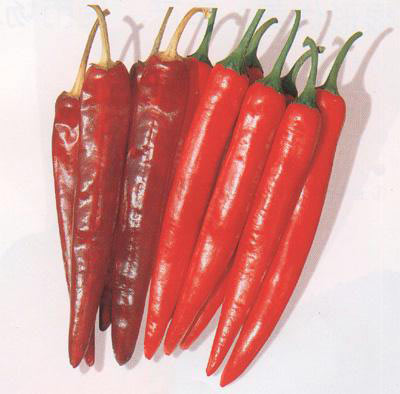 日常助健康的六種食物 