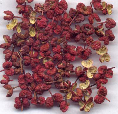 日常助健康的六種食物 