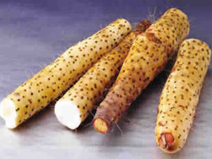 秋季的健康食物狀元榜