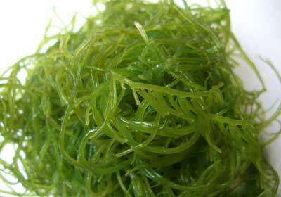 5種食物讓你百毒不侵