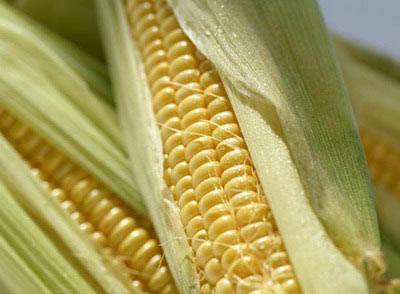 天然食物幫女人抗老