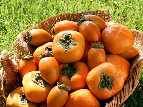 七款飯后佳品助消化