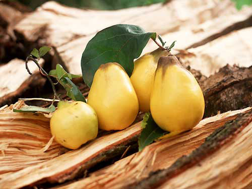 七款飯后佳品助消化