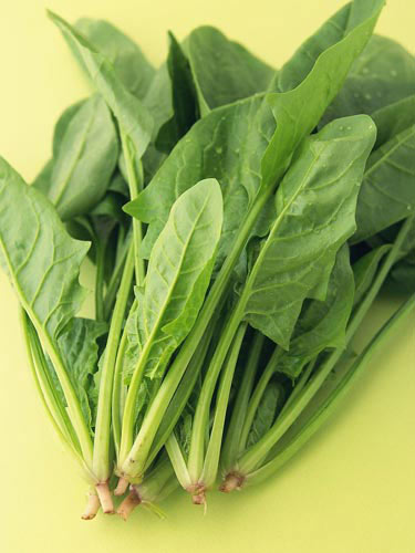 12種食物增強記憶力