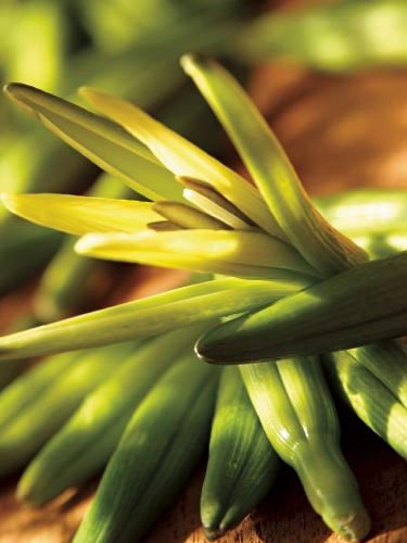 12種食物增強記憶力