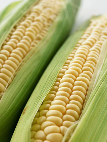 12種食物增強記憶力