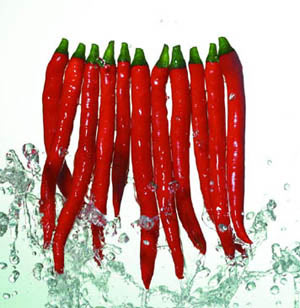 飲食“好色”人最健康