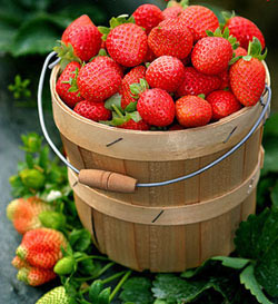 不可不知水果營(yíng)養(yǎng)功效