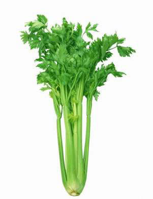 幾種食物讓你越吃越黑