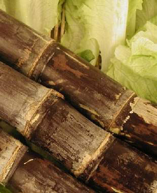 讓你意外的補血蔬果