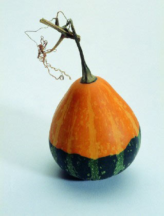 讓你意外的補血蔬果