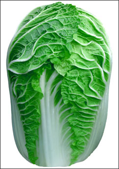 白菜要怎么煮才保住豐富維C