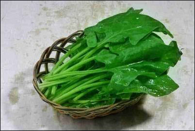 瘦臉食物吃出迷人妖精小臉蛋