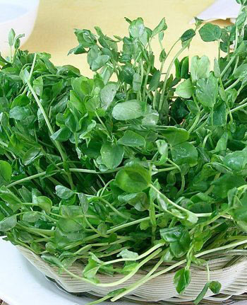 瘦臉食物吃出迷人妖精小臉蛋