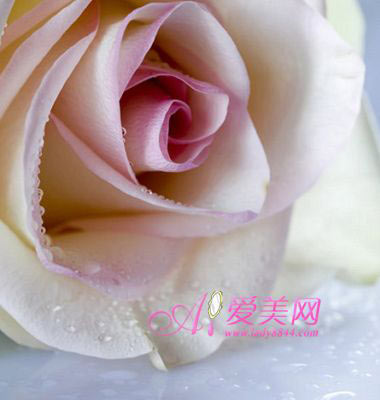 巧用鮮花養生活血養顏調氣色