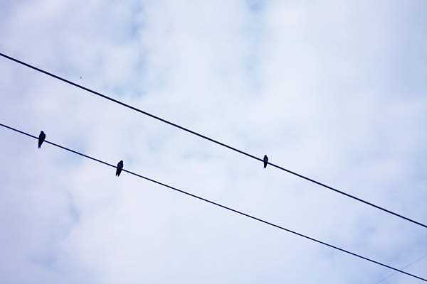 “虛”掉的六月