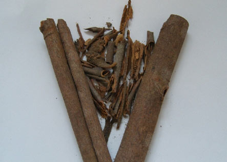 10種食物 平民的養生寶典