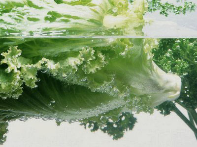 盤點12大最骯臟VS干凈果蔬