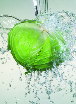 讓身材變瘦皮膚變好的8種食品