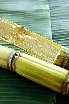 切勿讓寶寶多吃這3種水果