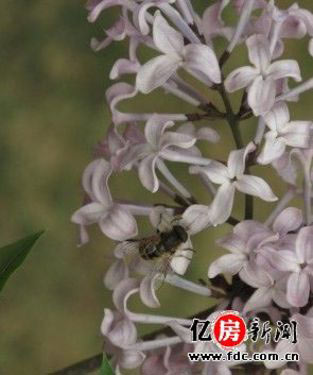 快速止牙痛!廚房里必看7個食療秘方