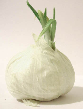 秋季潤燥養(yǎng)血的7大飲食寶典