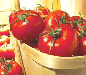 夏日最滋養的美白水果大盤點