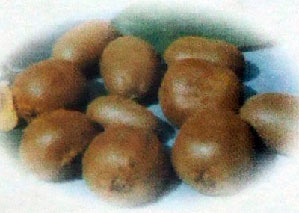 夏日最滋養的美白水果大盤點